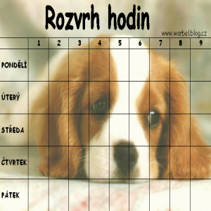 Rozvrh hodin